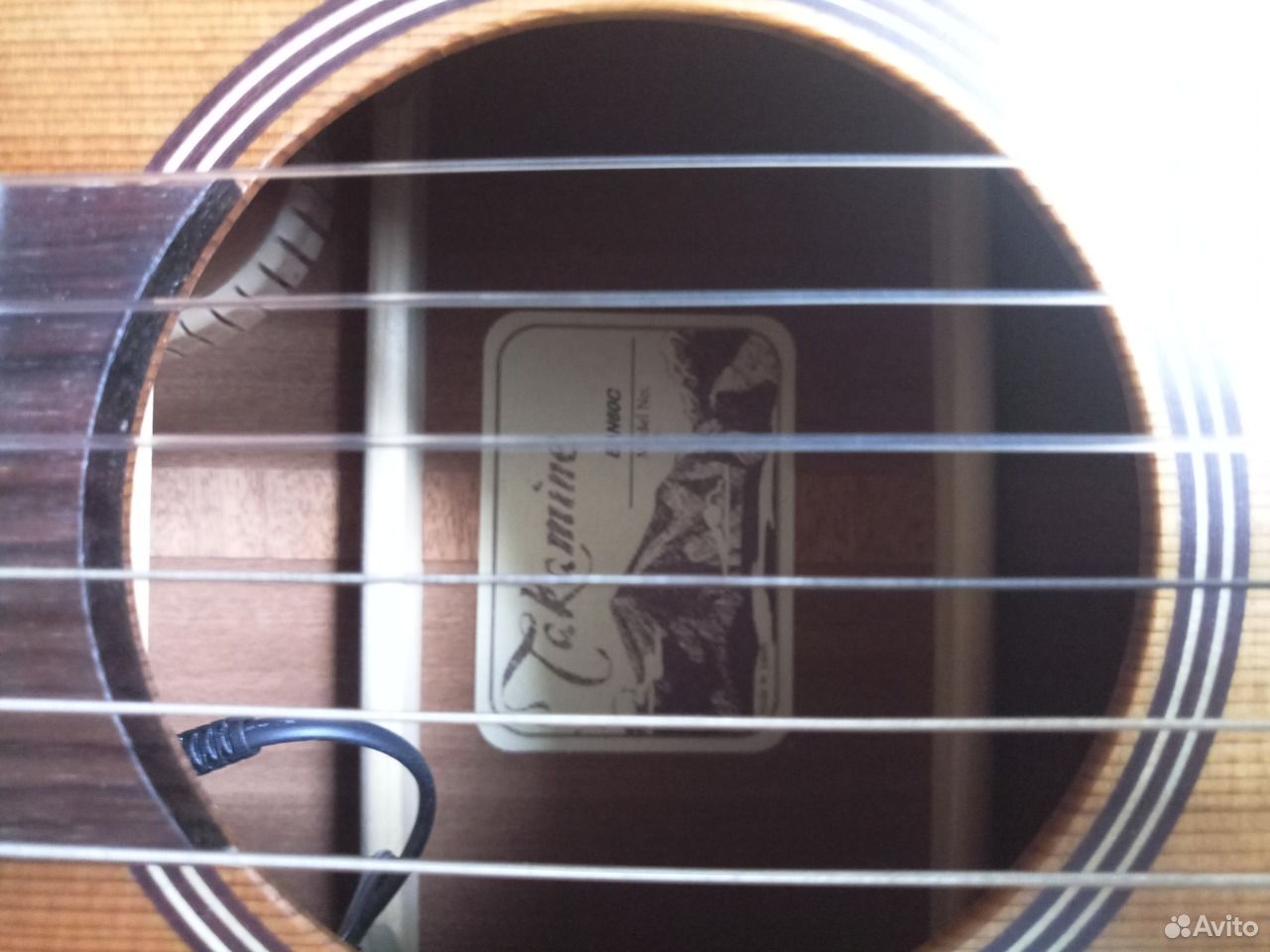Электроакустика Takamine EAN-60C - нейлон