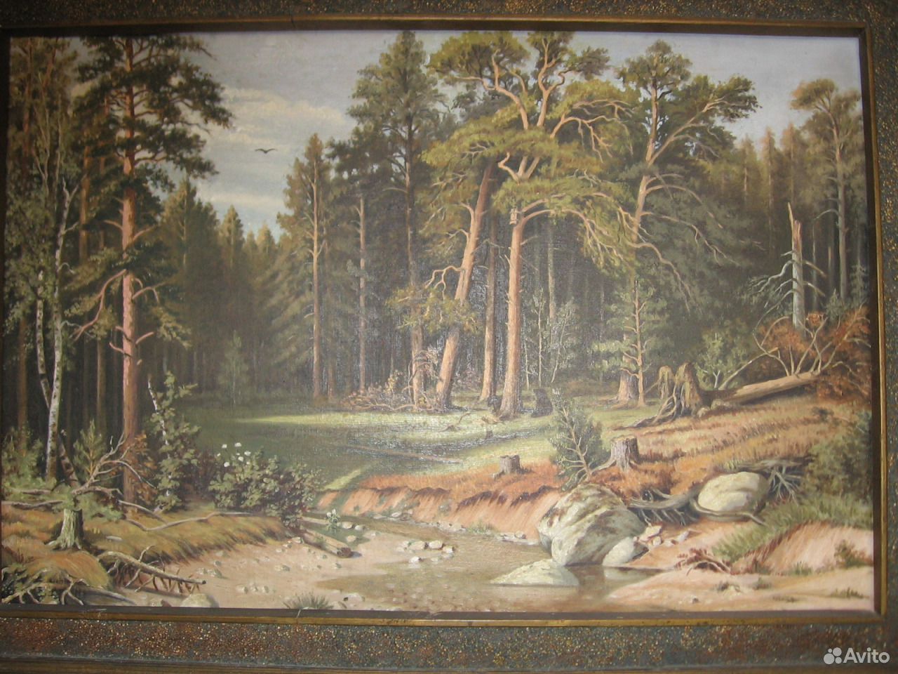 Сосновый Бор мачтовый лес в Вятской губернии 1872