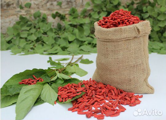 продукты ягода годжи продукты ягода годжи
