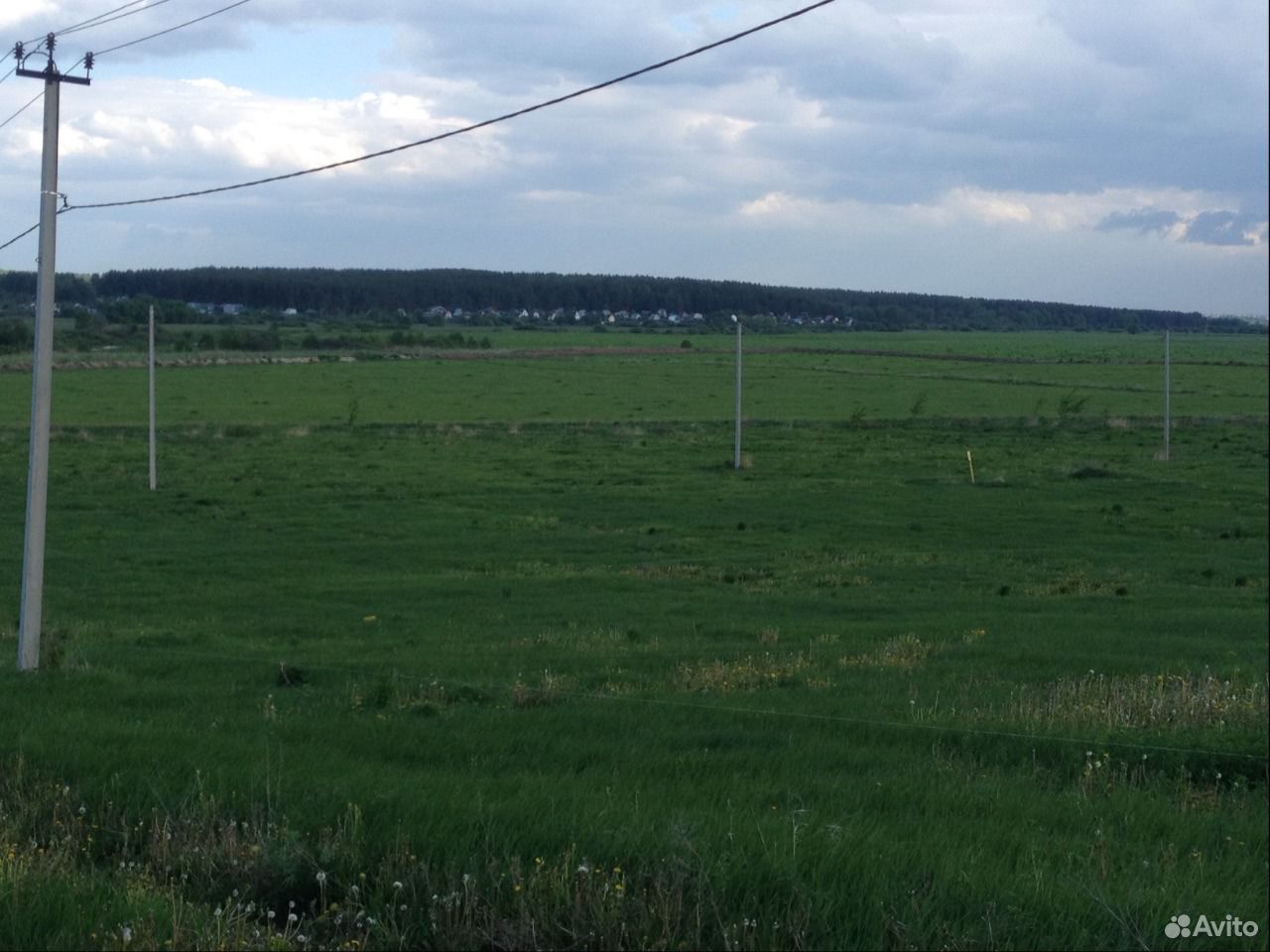 Г. Снт васильково - 4. Бор васильково. Д васильково нижегородская область. Бор васильково.