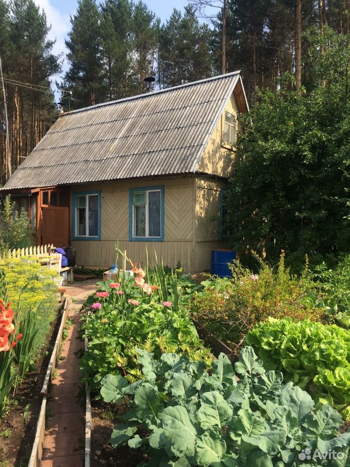 Дача в перми. Пермь дачи. Садоводчество. Дачи свежие объявления. Дачи Индустриальный район.