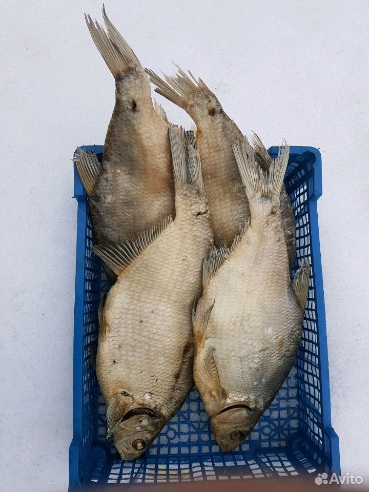Рыба купить на Зозу.ру - фотография № 2