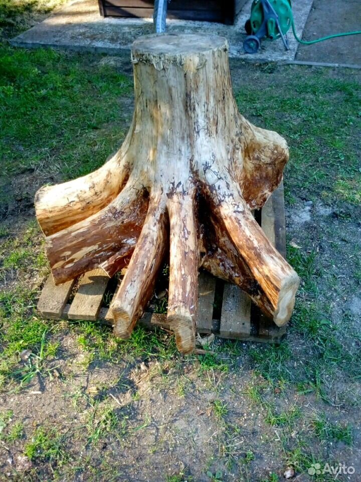 Дубовый пень. Пень интерьерный. Тумба пенек. Пень. Пеньки деревьев.