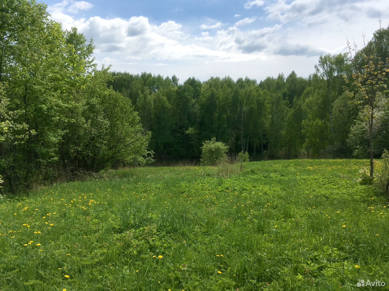 Купить Землю В Туле Под Ижс