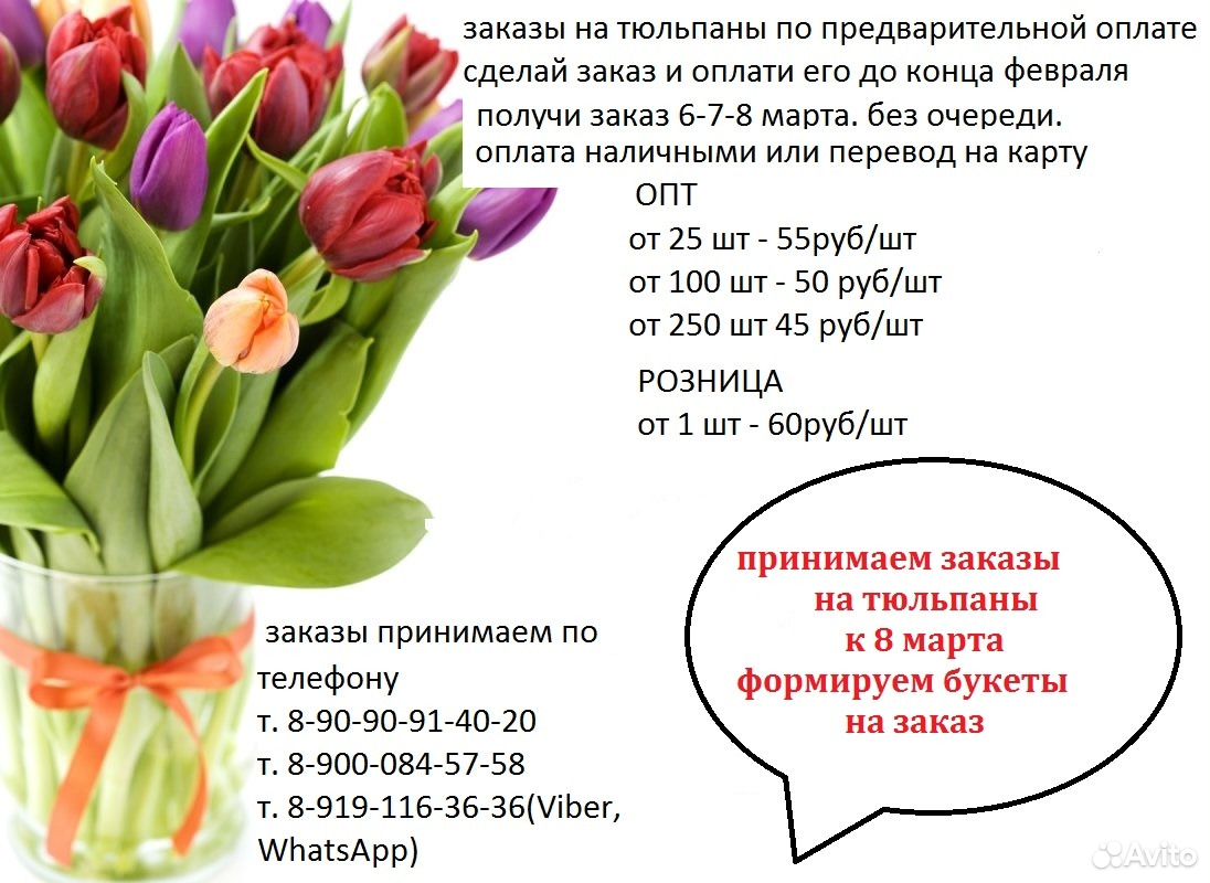 При какой температуре хранить тюльпаны для продажи. Продажа тюльпанов. Объявление о продаже тюльпанов. Как выбрать тюльпаны.