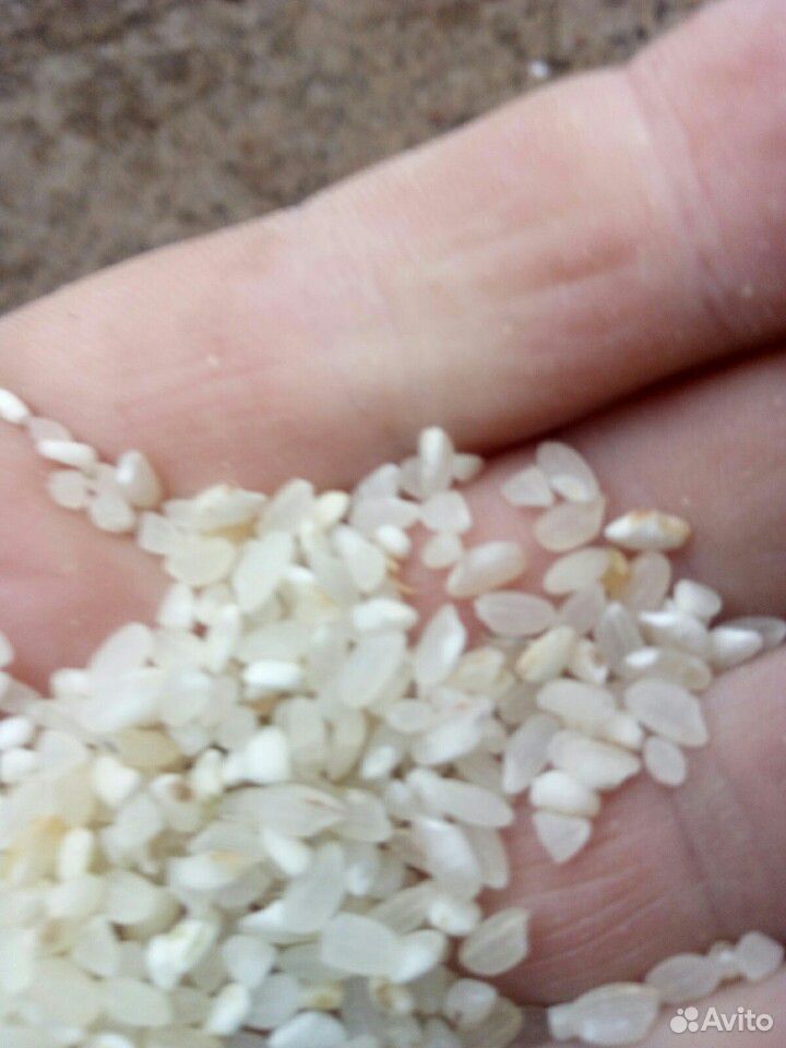 Крупы риса 2 сорт,кукурузная купить на Зозу.ру - фотография № 1