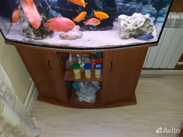 Продам аквариум 240л. с оборудованием и рыбами купить на Зозу.ру - фотография № 6