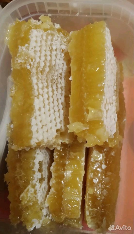 Мёд со своей пасеки, оптом и в розницу, прополис купить на Зозу.ру - фотография № 1