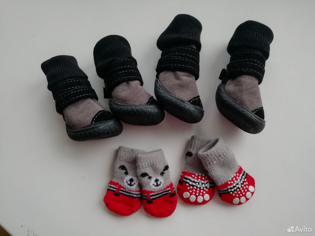 Обувь и носочки для мини собачек купить на Зозу.ру - фотография № 1