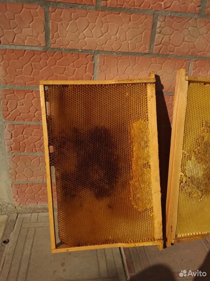 Продаю суш для пчёл купить на Зозу.ру - фотография № 2