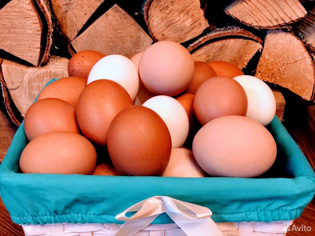 Яйца куриные домашние Доставка 0р купить на Зозу.ру - фотография № 1