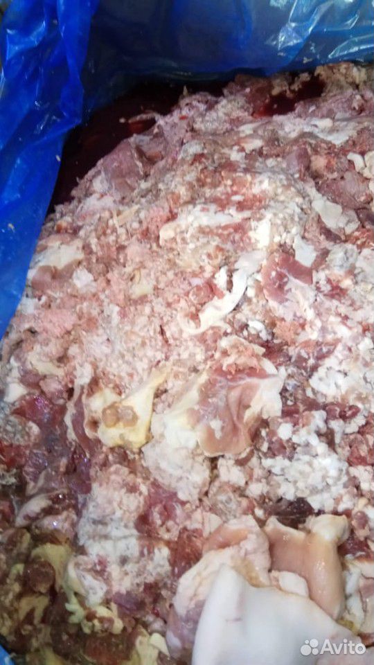 Мясо свинина говядина корм для собак купить на Зозу.ру - фотография № 6