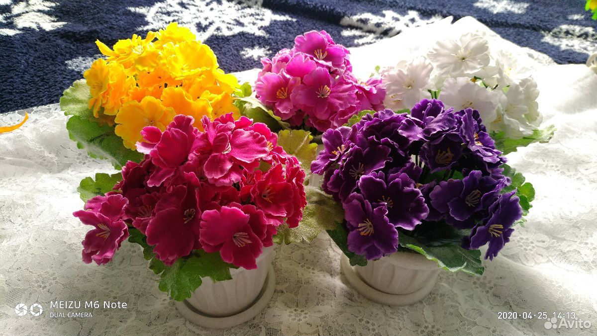 Цветы купить на Зозу.ру - фотография № 1