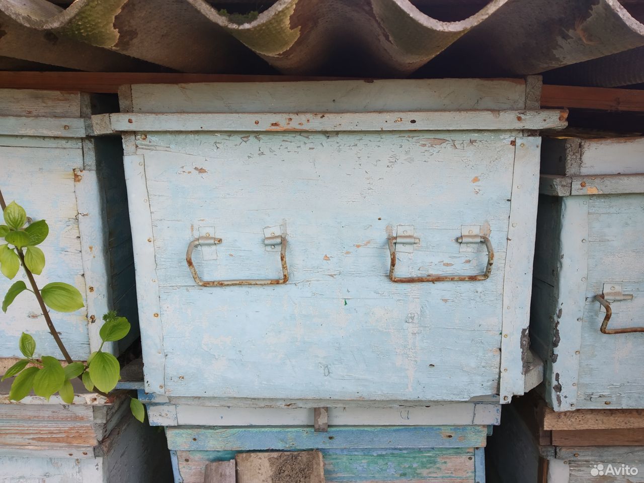 Пчелиные ящики купить на Зозу.ру - фотография № 6