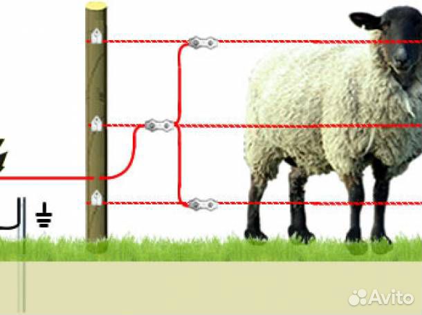 Схема установки электропастух