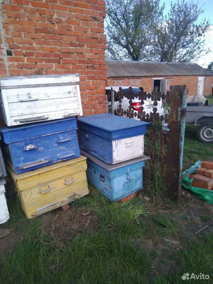 Улики для пчёл купить на Зозу.ру - фотография № 1