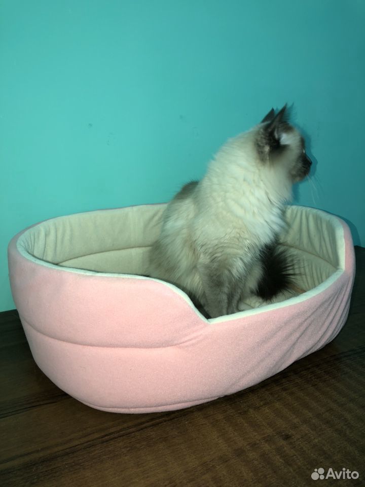 Лежак для кошки купить на Зозу.ру - фотография № 1