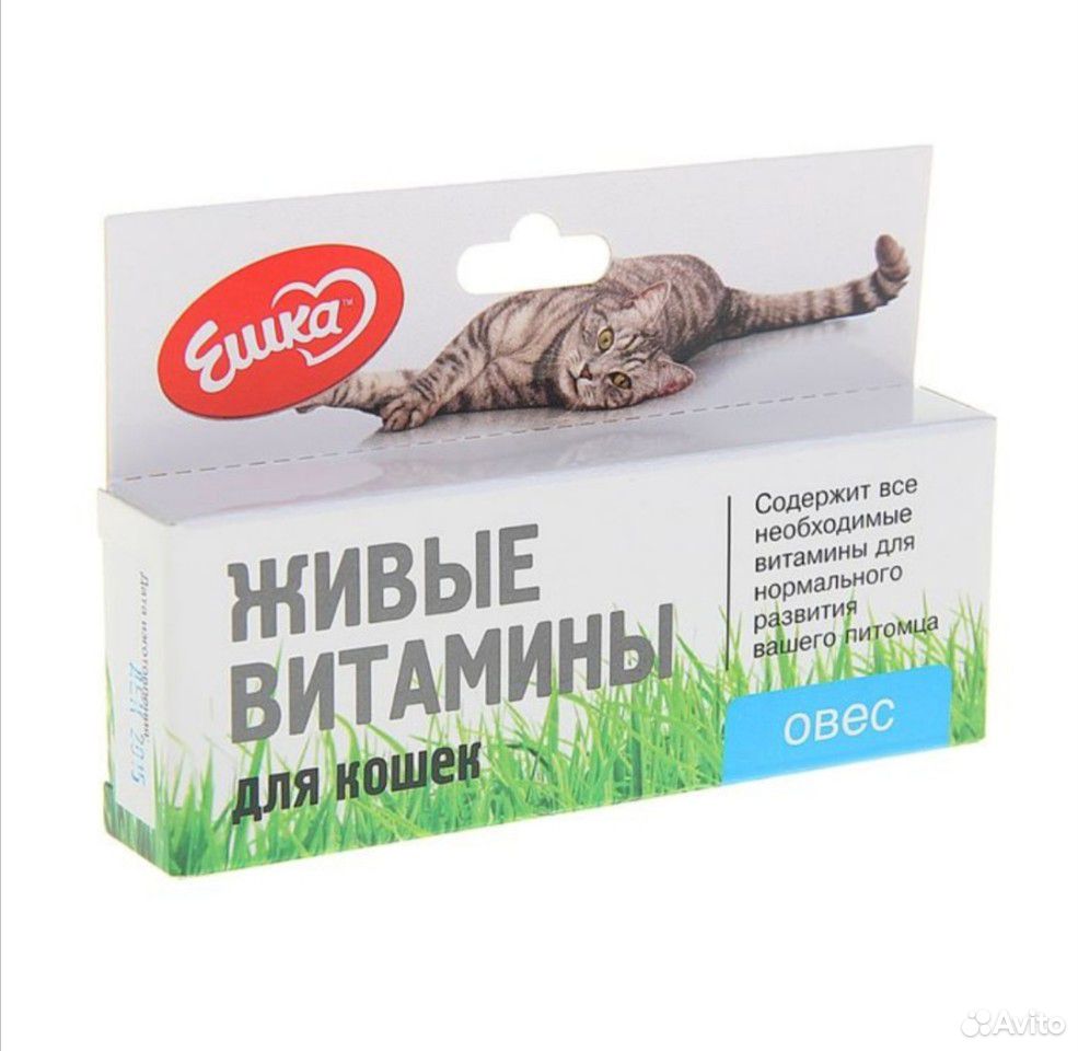 Ошейник, витамины для кошек и собак купить на Зозу.ру - фотография № 9
