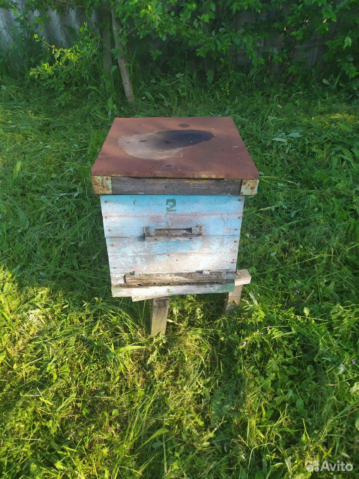 Пчелиный улей купить на Зозу.ру - фотография № 3