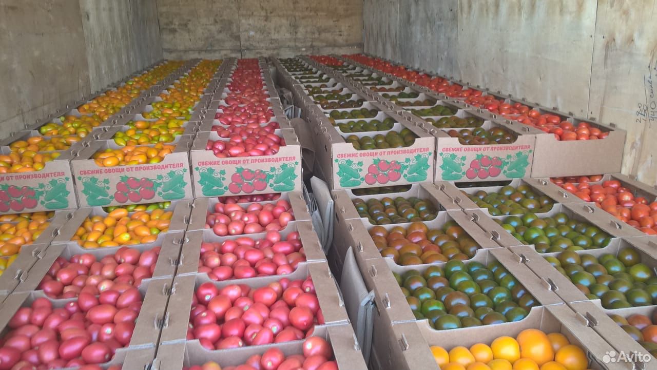 Томат помидоры Фермерская продукция купить на Зозу.ру - фотография № 1