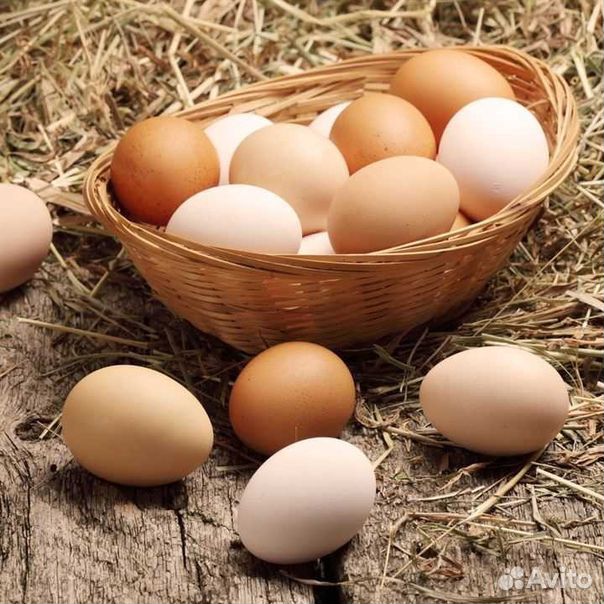 Яйцо домашние куриные купить на Зозу.ру - фотография № 1