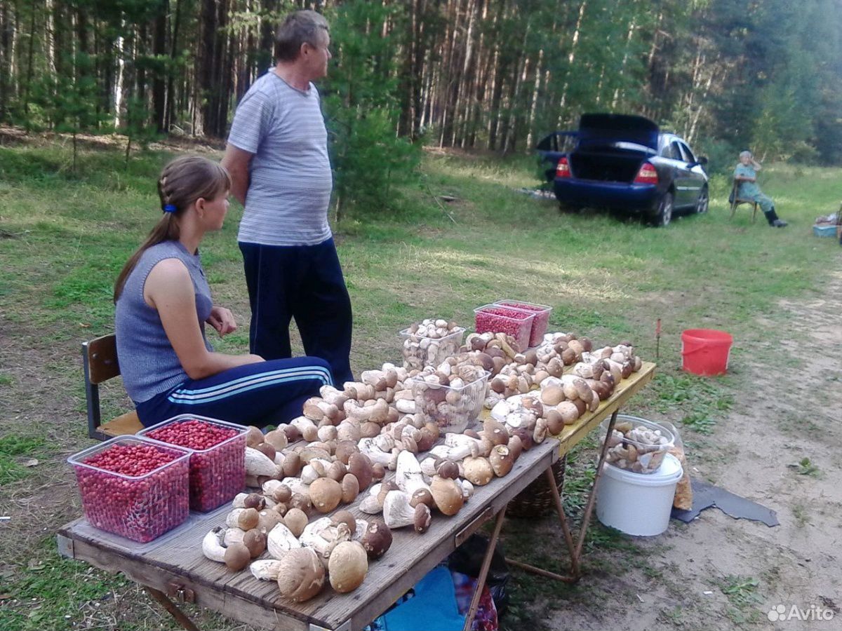Лисички грибы купить на Зозу.ру - фотография № 3