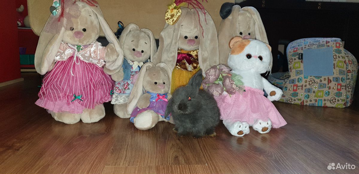 Продаются крольчата купить на Зозу.ру - фотография № 7