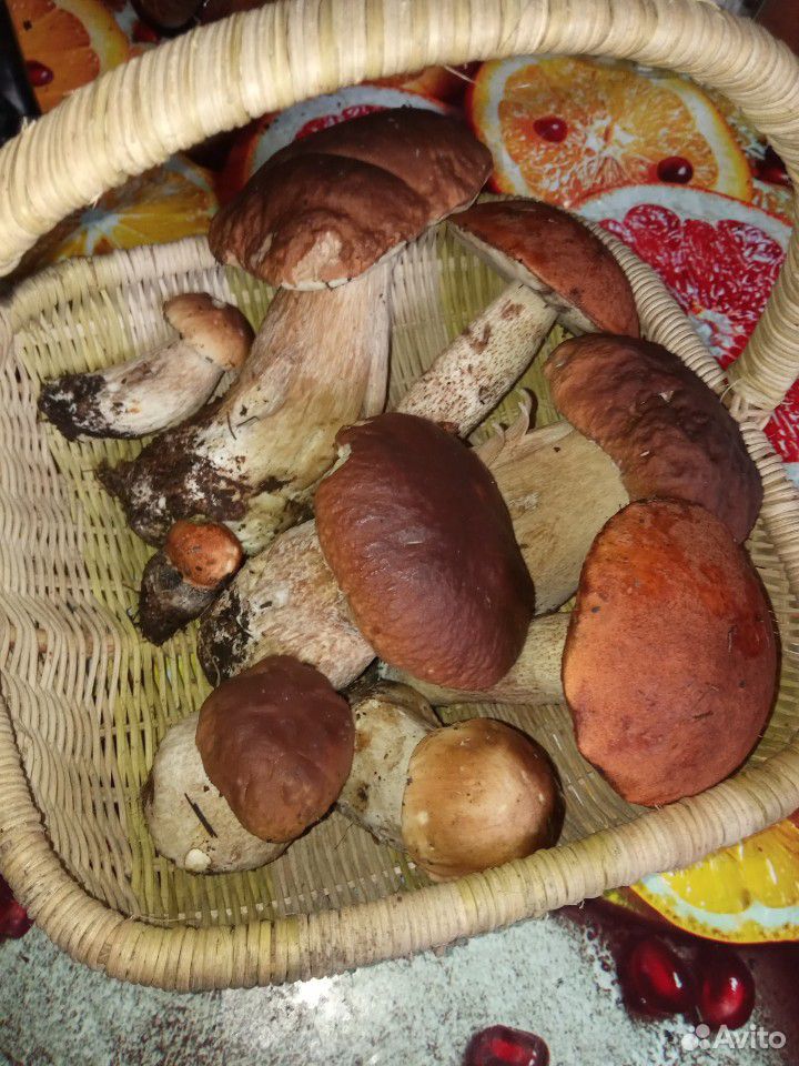 Белые грибы свежие купить на Зозу.ру - фотография № 1