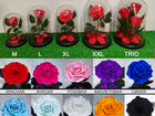 Роза в колбе от Royal Rose / Доставка цветов 24/7 объявление продам