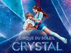 30.01 Поездка в Гданьск: Cirque du Soleil crystal объявление продам
