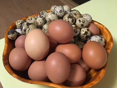 Яйцо домашнее