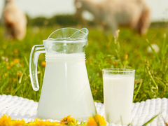 Молоко козье из деревни Новосёлы