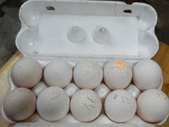 Яйцо индюшиное на инкубацию