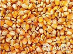 Кукуруза. пшеница. ячмень. комбикорм