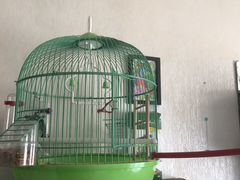 Клетка для птицы