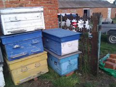 Улики для пчёл
