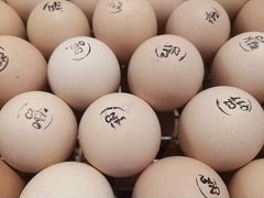 Инкубационное яйцо круглый год от 25р