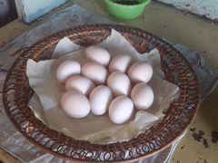 Яйца домешнее