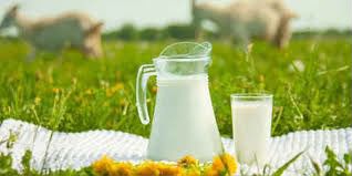 Молоко и молочная продукция с доставкой на дом