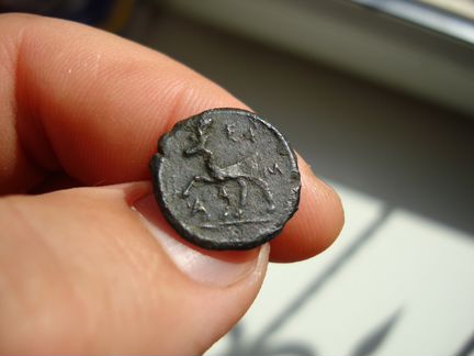 Монета Керкинитида (Артемида-лань) ерма