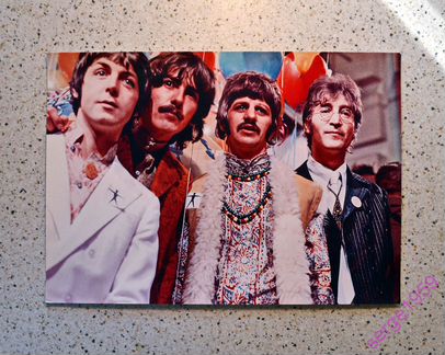 The Beatles - фото -1