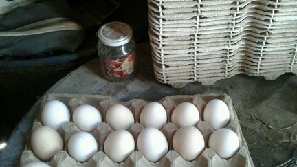 Продажа домашних яиц с доставкой на дом от 30 шт