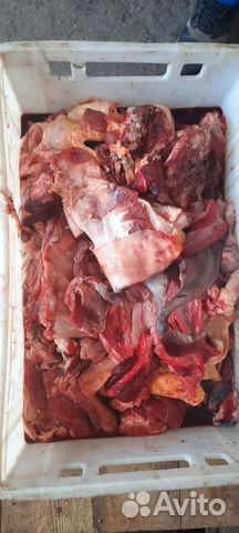 Мясо говядина на корм для животных