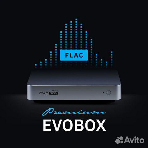 Караоке EvoBox Premium