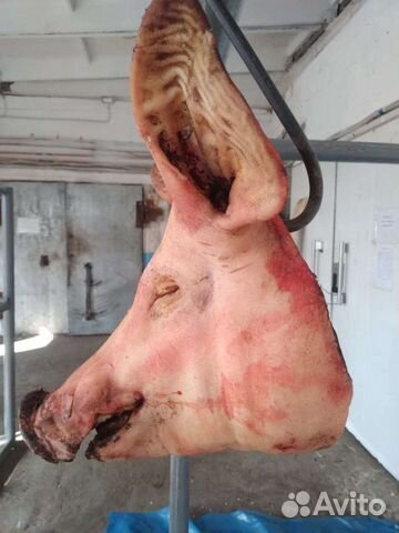 Свиные ножки,ушки и др