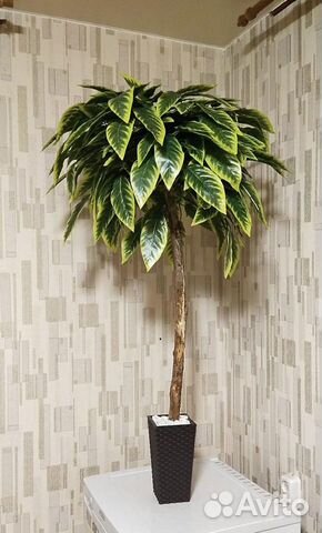 Дерево манго (искусственное)