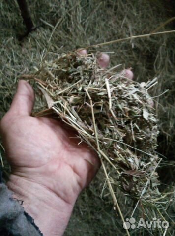 Сено в тюках и мешках на подстилку