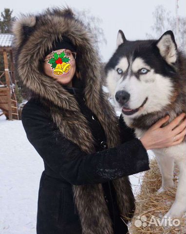 Волкошапка (зверошапка) цвет Динго