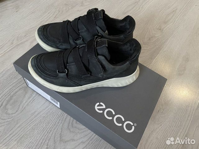 ecco 33