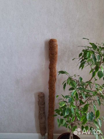 Опора кокосовая для растений